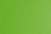 CARTULINA SADIPAL LISO/RUGOSO 50X70 VERDE PISELLO | 20 UNIDADES | (SADIPAL)